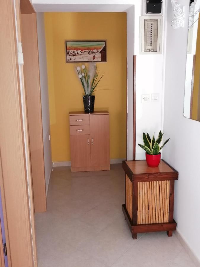Apartman Bruna Novigrad Istria Kültér fotó